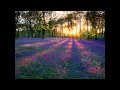 Ibrahim Jibreen - Surat Al-Mulk سورة الملك 