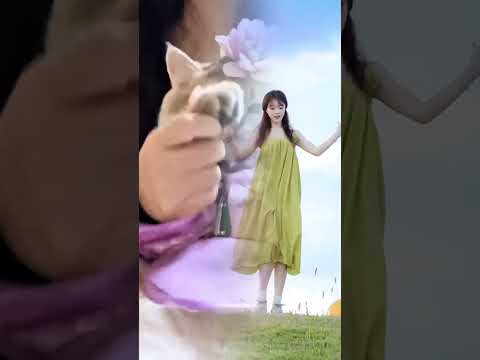 #joyful dance#ladies of dance