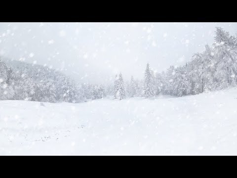 Deadly Midwest Blizzard [REMASTERED] (An EAS Mini Scenario)