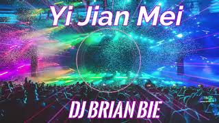 Download lagu 一剪梅 Yi Jian Mei Remix By Dj Brian Bie mp3