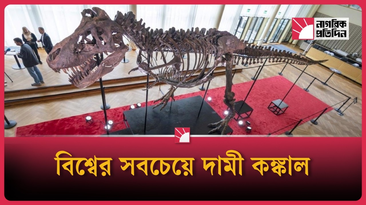 ৬১০ কোটি টাকায় বিক্রি টি-রেক্সের কঙ্কাল, গড়ল বিশ্ব রেকর্ড