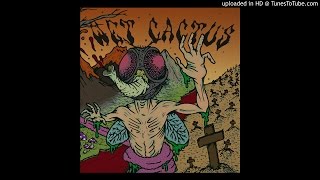 Wet Cactus - Jim´s Song