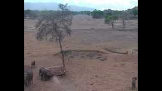preview picture of video 'Safari Taita Hills.avi'