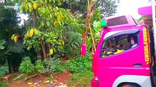 Download lagu STORY WA 30 DETIK Versi Truck Gagal Fokus(PUJAAN HATI)😍 mp3