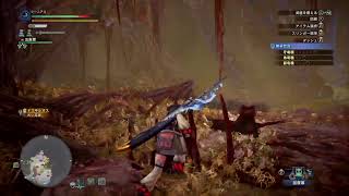 ［MHW：ＩＢ］導きの地調査