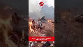 אסון כבד בקניה: 11 תיירים נהרגו בהתרסקות מטוס (חדשות ערוץ 14) - התמונה מוצגת ישירות מתוך אתר האינטרנט יוטיוב. זכויות היוצרים בתמונה שייכות ליוצרה. קישור קרדיט למקור התוכן נמצא בתוך דף הסרטון