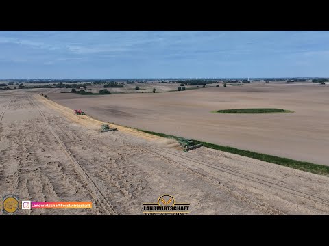 Eine Gigantische Fläche Weizen von insgesamt 1100ha Getreide 2 John Deere X9 1100 m. 14m Schneidwerk