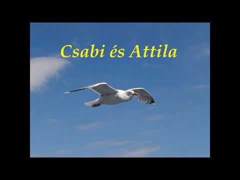 Csabi és Attila - Sirályok