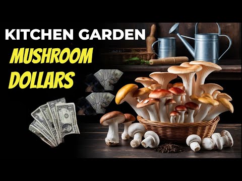 How Growing Mushrooms in Your Kitchen Garden Can Boost Your Financial Muscle 💪🏻💪🏻