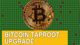 Taproot | NYC Crypto Education