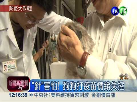 又見狂犬病! 北市免費施打疫苗