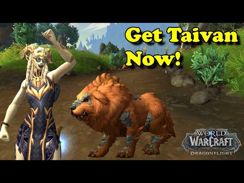 Dragonflight Meta A World Awoken | A Simple Guide to Getting Taivan