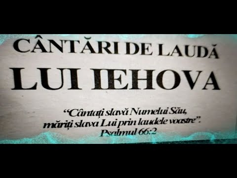 In sinul stincii . nr 131