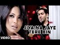 Jiya Na Jaye Tere Bin Saathiya Full Video Song Faakhir Mantra