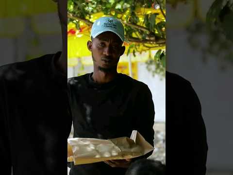 vp-g13