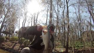 Lake Oliver, GA - 7 Feb 2016