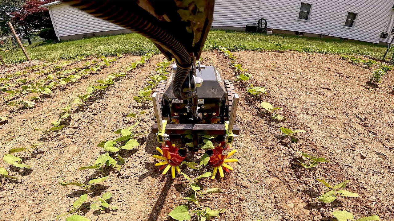 Eliminate Hand Hoeing With This Electric Wheel Hoe - Tilmor E-Ox WORKS