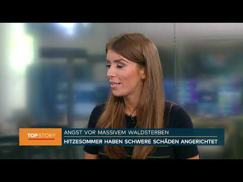 Wald in der Krise: Alexander Zeihe bei WELT Nachrichten 01.08.2019