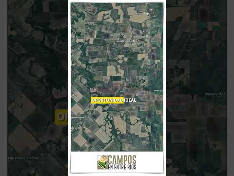 🌽 Campo en Venta | Potencial agrícola en Hernandarias, La Paz, Entre Ríos  #camposenventa