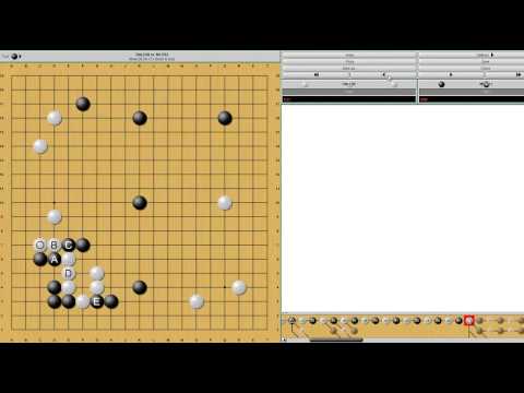 Game Review - KGS 5 Kyu VS 3 Dan in an Even Game