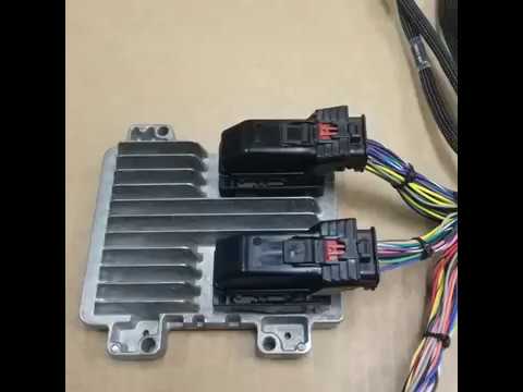 Wiring Specialties New LS3 Swap, 58x Drive by Wire Harness