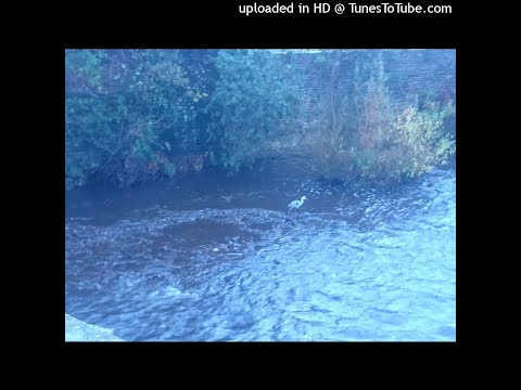 Spit Feat. Ellie Jay - Show Me How (auscore Remix)