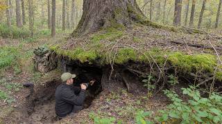 Man Builds HIDDEN SHELTER Inside HUGE Tree Root | Start to Finish by @PolissyaBushcraft