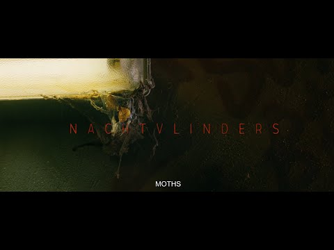 Nachtvlinders
