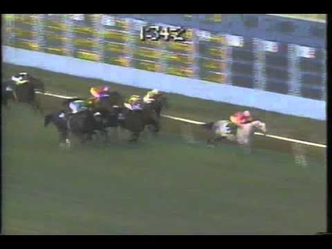 Hollywood Park 1991 Citation Handicap - Notorious Pleasure & Fly Til Dawn