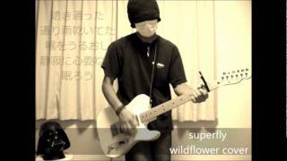 superfly - wildflower