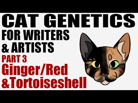 Cat Genetics for Writers & Artists part 3: Ginger/Red & Tortoiseshell [CC]