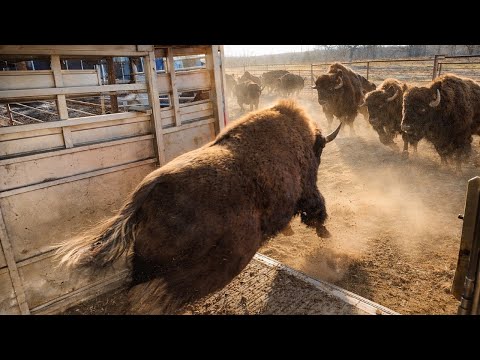 This Was the Most Tense Part of the Move!