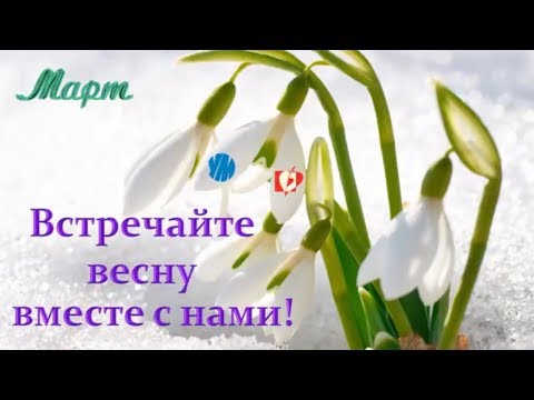 Видео УчМет