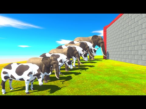 Different Size Elephant vs Cow Clash Block Race -Animal 3D Animation