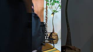 バックパックひとつで12泊おすすめ旅ガジェット7選