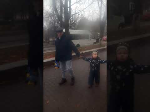 Бобруйск 22.11.2020 "правоохранители" уже в "строю" .