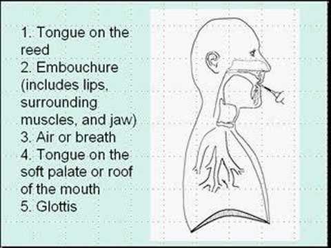 Basics of Double Reed Articulation: Part 1