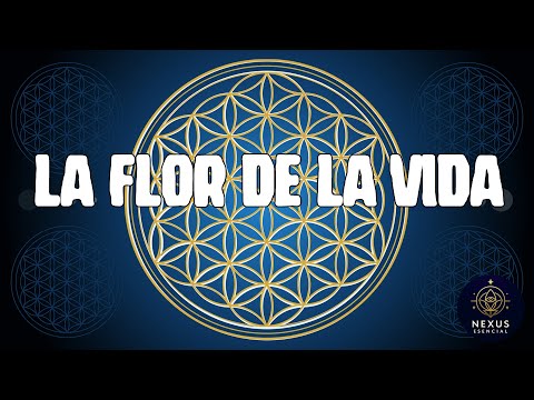 LA FLOR DE LA VIDA (Geometría Sagrada)