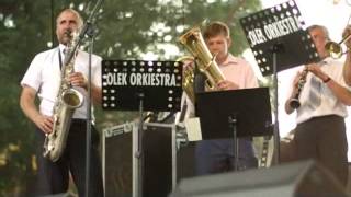 preview picture of video 'Biesiada Malinowa 2013 w Godziszowie - Olek Orkiestra'