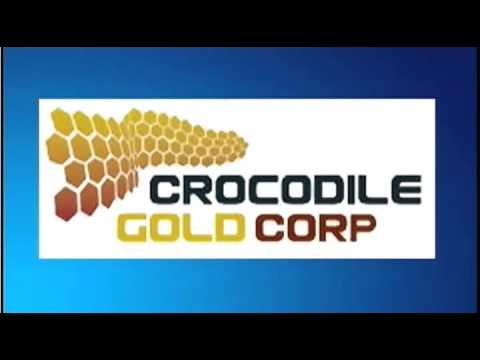 January 2nd Trade What You See with host Larry Pesavento - 2013