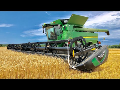 Wheat Harvest 2020