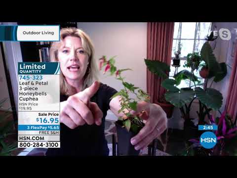 HSN | Outdoor Living 05.14.2021 - 05 PM