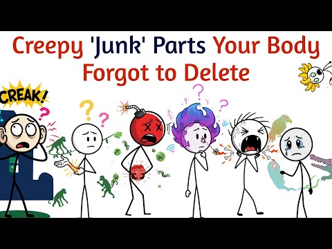 Creepy 'Junk' Parts Your Body Forgot to Delete