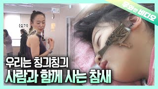 Download lagu 이런 가족도 있습니다🥰 참새와 함께하는 삶┃Such Life Exists, Too 🥰 A Life With a Sparrow mp3