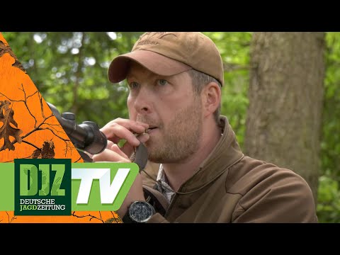 Hunting tips from a pro - PareyGo Classics