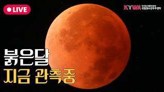 🔴개기월식 LIVE｜붉은달, 망원경 실시간 중계