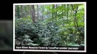preview picture of video 'Joyce Kilmer Memorial Forest - North Carolina, United States'