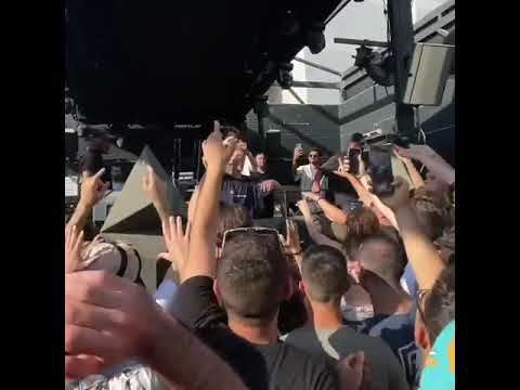 Mike Williams & Felix Jaehn - Without You (feat. Jordan Shaw) [Mesto Remix]