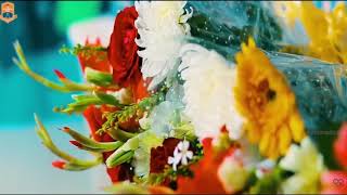 The Vivekananda School (Senior Branch) Video