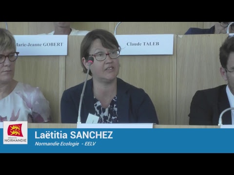 Assemblée plénière du 18 juin 2018